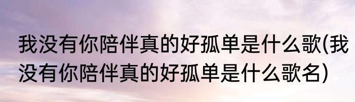 我没有你陪伴真的好孤单是什么歌(我没有你陪伴真的好孤单是什么歌名)