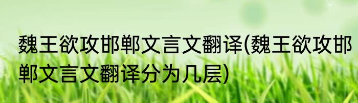 魏王欲攻邯郸文言文翻译(魏王欲攻邯郸文言文翻译分为几层)