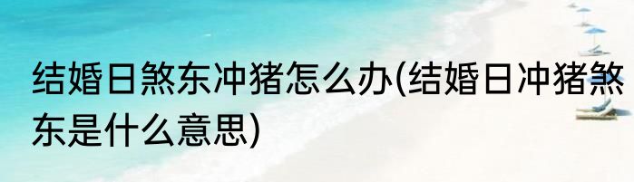 结婚日煞东冲猪怎么办(结婚日冲猪煞东是什么意思)