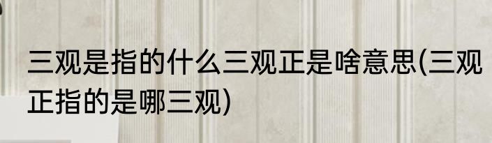 三观是指的什么三观正是啥意思(三观正指的是哪三观)