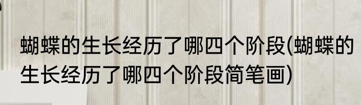 蝴蝶的生长经历了哪四个阶段(蝴蝶的生长经历了哪四个阶段简笔画)