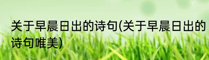 关于早晨日出的诗句(关于早晨日出的诗句唯美)