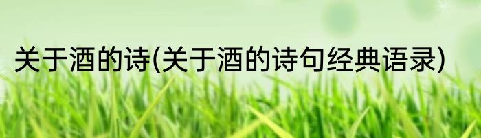 关于酒的诗(关于酒的诗句经典语录)