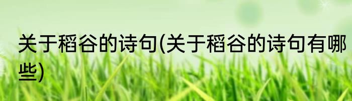 关于稻谷的诗句(关于稻谷的诗句有哪些)