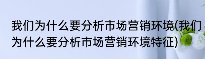 我们为什么要分析市场营销环境(我们为什么要分析市场营销环境特征)