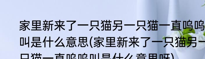 家里新来了一只猫另一只猫一直呜呜叫是什么意思(家里新来了一只猫另一只猫一直呜呜叫是什么意思呀)