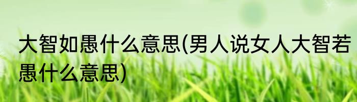 大智如愚什么意思(男人说女人大智若愚什么意思)