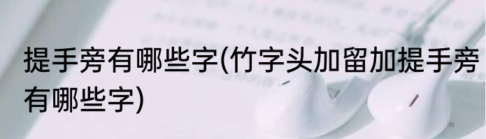 提手旁有哪些字(竹字头加留加提手旁有哪些字)