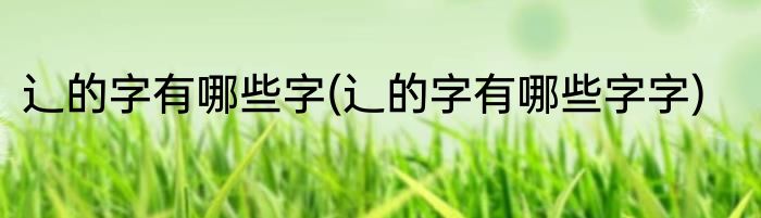 辶的字有哪些字(辶的字有哪些字字)