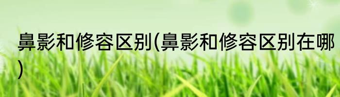 鼻影和修容区别(鼻影和修容区别在哪)