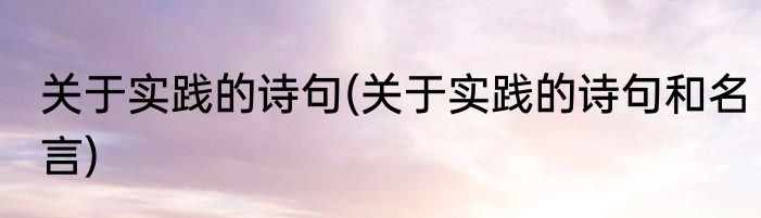 关于实践的诗句(关于实践的诗句和名言)