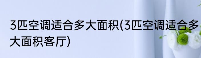 3匹空调适合多大面积(3匹空调适合多大面积客厅)