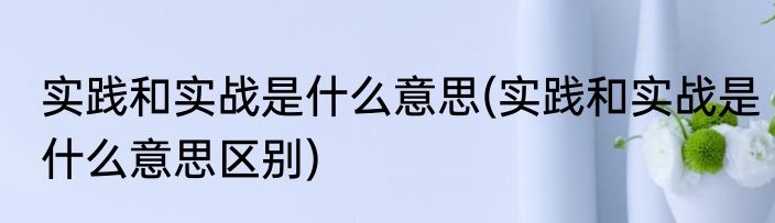 实践和实战是什么意思(实践和实战是什么意思区别)