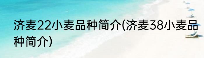 济麦22小麦品种简介(济麦38小麦品种简介)