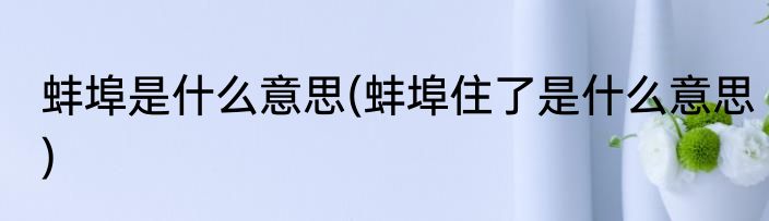 蚌埠是什么意思(蚌埠住了是什么意思)