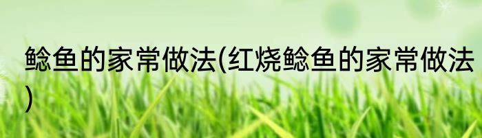 鲶鱼的家常做法(红烧鲶鱼的家常做法)