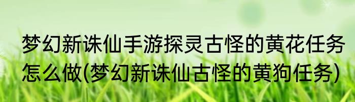 梦幻新诛仙手游探灵古怪的黄花任务怎么做(梦幻新诛仙古怪的黄狗任务)