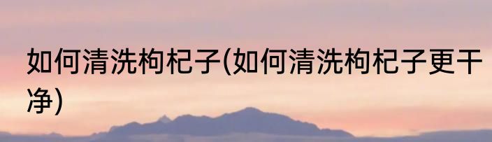 如何清洗枸杞子(如何清洗枸杞子更干净)