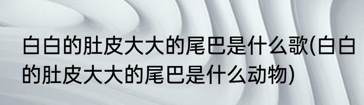 白白的肚皮大大的尾巴是什么歌(白白的肚皮大大的尾巴是什么动物)