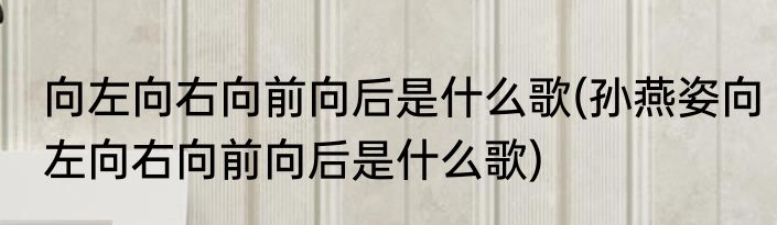 向左向右向前向后是什么歌(孙燕姿向左向右向前向后是什么歌)