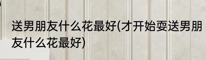 送男朋友什么花最好(才开始耍送男朋友什么花最好)