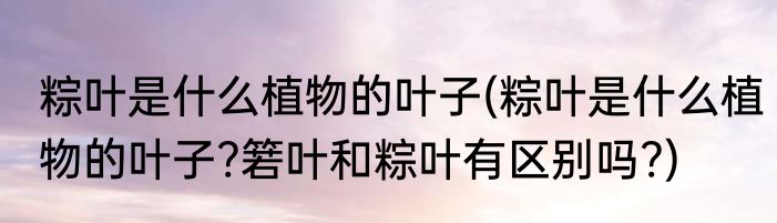 粽叶是什么植物的叶子(粽叶是什么植物的叶子?箬叶和粽叶有区别吗?)