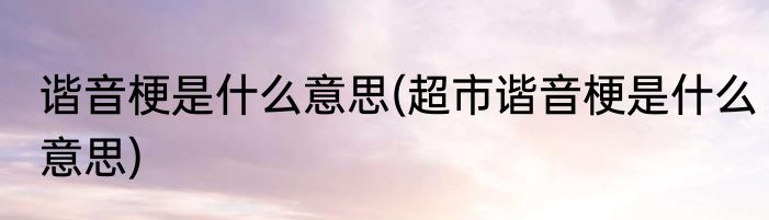 谐音梗是什么意思(超市谐音梗是什么意思)