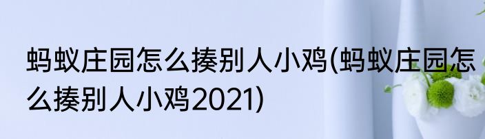 蚂蚁庄园怎么揍别人小鸡(蚂蚁庄园怎么揍别人小鸡2021)