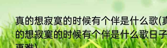 真的想寂寞的时候有个伴是什么歌(真的想寂寞的时候有个伴是什么歌日子再难)