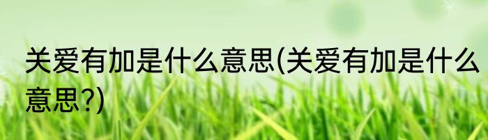 关爱有加是什么意思(关爱有加是什么意思?)