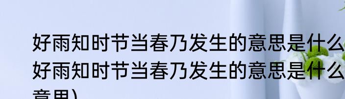 好雨知时节当春乃发生的意思是什么(好雨知时节当春乃发生的意思是什么意思)