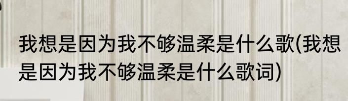 我想是因为我不够温柔是什么歌(我想是因为我不够温柔是什么歌词)