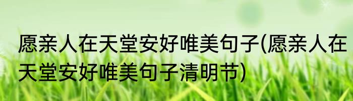 愿亲人在天堂安好唯美句子(愿亲人在天堂安好唯美句子清明节)