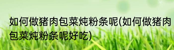 如何做猪肉包菜炖粉条呢(如何做猪肉包菜炖粉条呢好吃)