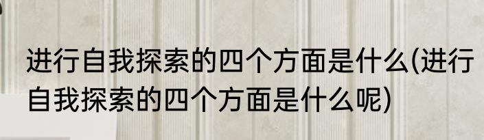 进行自我探索的四个方面是什么(进行自我探索的四个方面是什么呢)