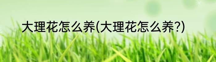 大理花怎么养(大理花怎么养?)