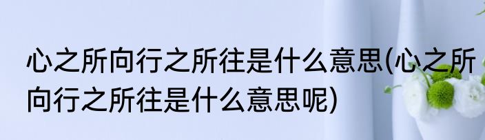 心之所向行之所往是什么意思(心之所向行之所往是什么意思呢)
