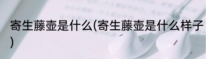 寄生藤壶是什么(寄生藤壶是什么样子)