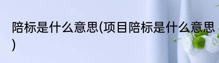 陪标是什么意思(项目陪标是什么意思)