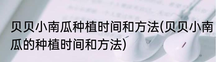 贝贝小南瓜种植时间和方法(贝贝小南瓜的种植时间和方法)