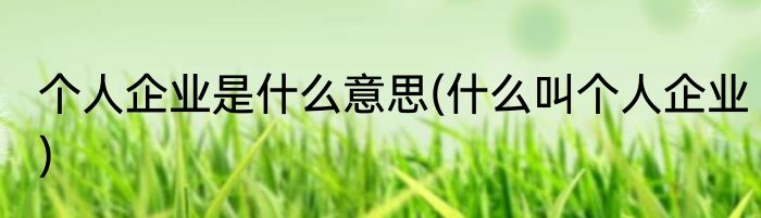 个人企业是什么意思(什么叫个人企业)