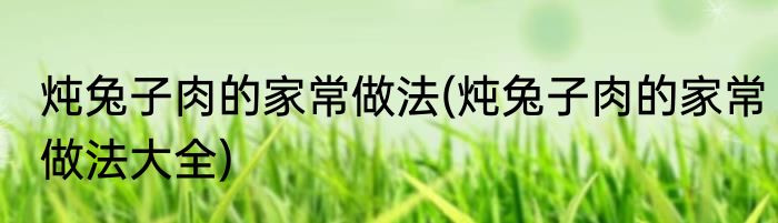 炖兔子肉的家常做法(炖兔子肉的家常做法大全)