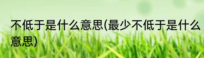 不低于是什么意思(最少不低于是什么意思)