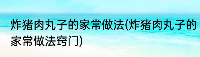 炸猪肉丸子的家常做法(炸猪肉丸子的家常做法窍门)