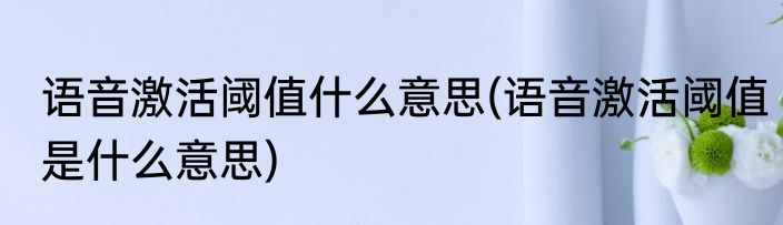 语音激活阈值什么意思(语音激活阈值是什么意思)