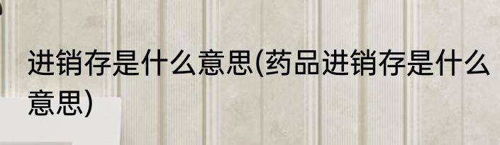 进销存是什么意思(药品进销存是什么意思)