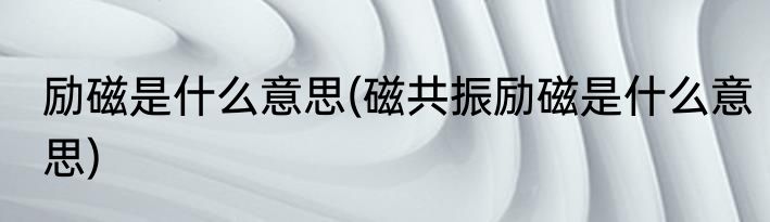 励磁是什么意思(磁共振励磁是什么意思)