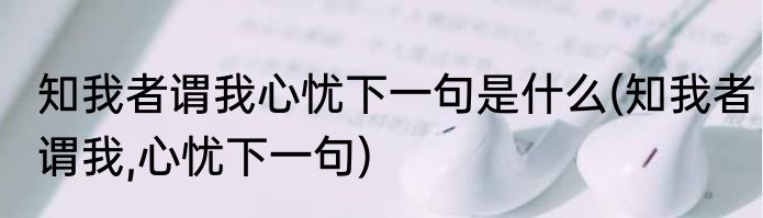 知我者谓我心忧下一句是什么(知我者谓我,心忧下一句)