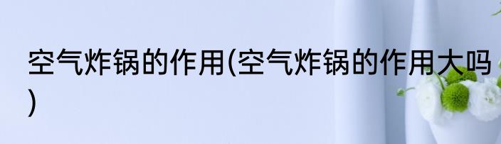 空气炸锅的作用(空气炸锅的作用大吗)