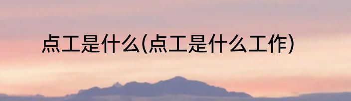 点工是什么(点工是什么工作)